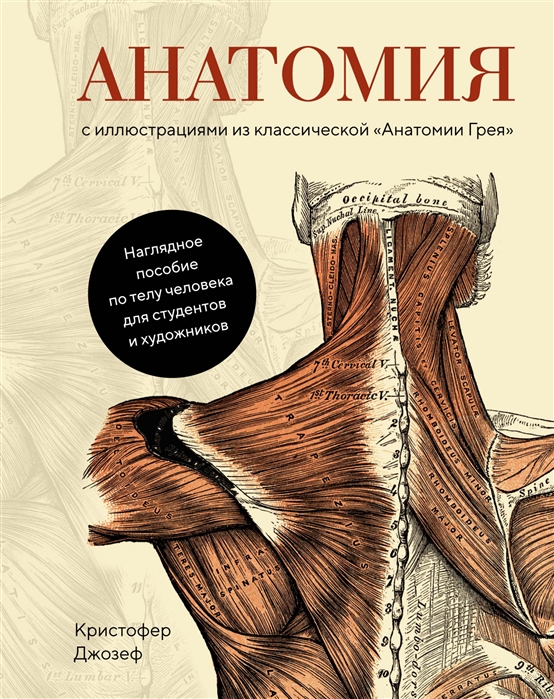 Джозеф К. Анатомия:с иллюстрациями из классической «Анатомии Грея» | (Азбука/КоЛибри, тверд.)