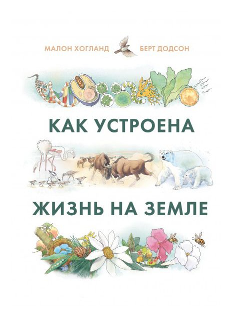 Хогланд М., Додсон Б. Как устроена жизнь на Земле | (МИФ, тверд.)