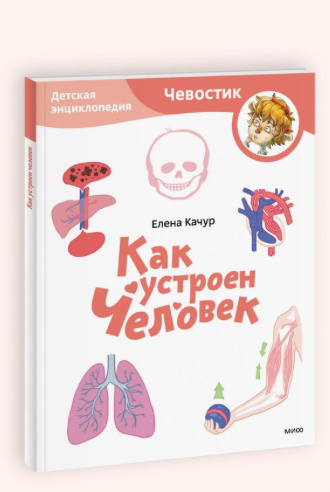 Качур Е. Как устроен человек. Детская энциклопедия (Чевостик) | (МИФ, мягк)