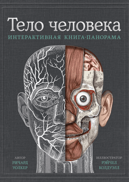 Уолкер Р., Колдуэлл Р. Тело человека. Интерактивная книга-панорама | (МИФ, тверд.)