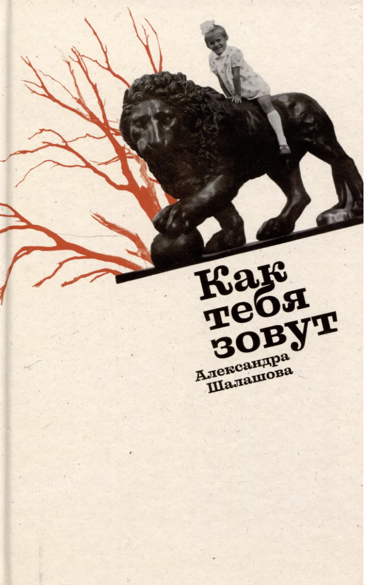 Шалашова А. Как тебя зовут | (Альпина, тверд.)